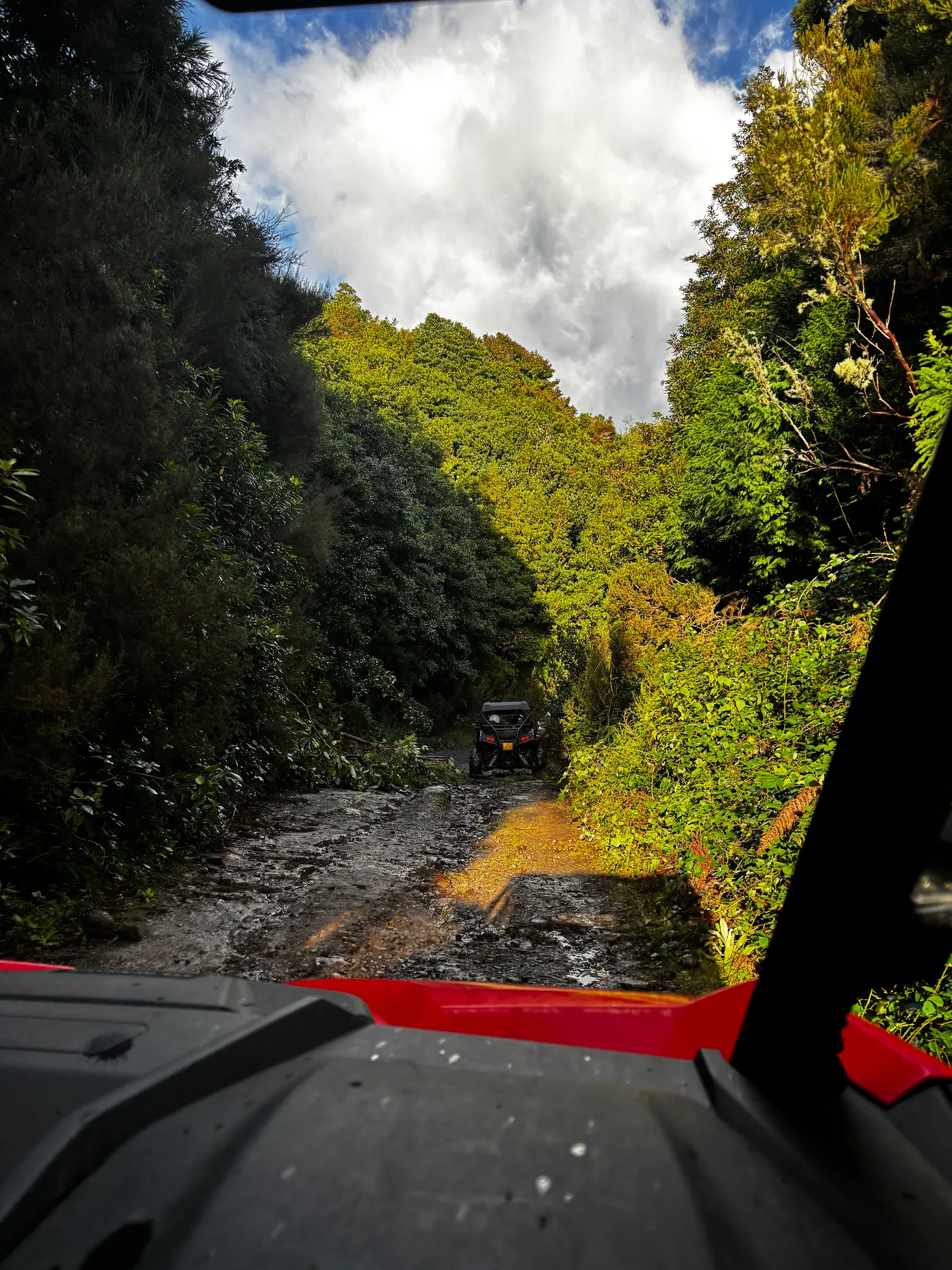 quad bike buggy tour Madeira BUGGY11