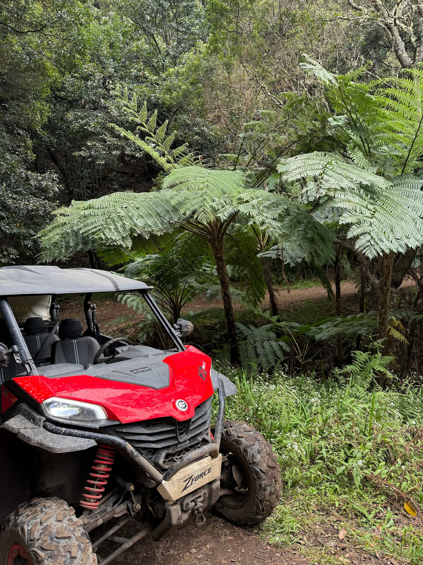 quad bike buggy tour Madeira BUGGY5